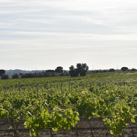 Casa Trincadeira Apartamento Palmela