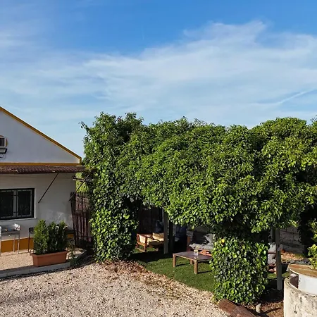 Casa Trincadeira 아파트 파멜라