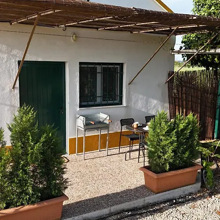Apartment Casa Trincadeira *