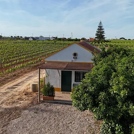 아파트 Casa Trincadeira