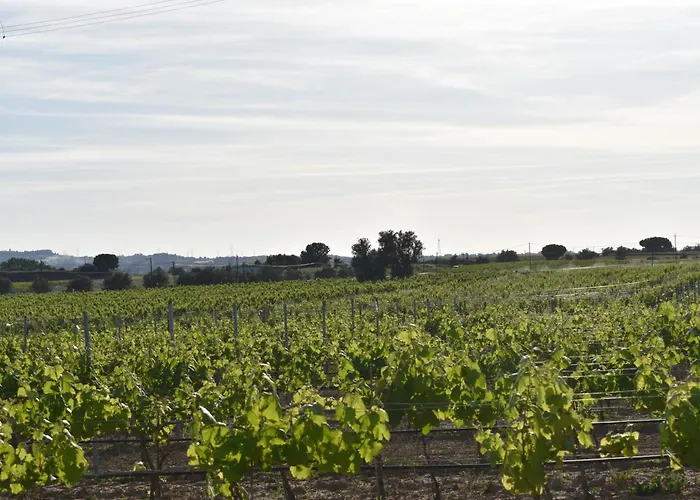 Casa Trincadeira Apartamento Palmela