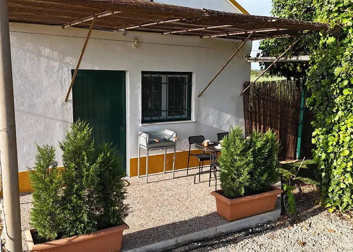 Апартаменты Casa Trincadeira *