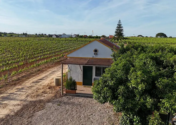 Апартаменты Casa Trincadeira